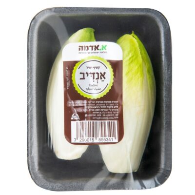 אנדיב